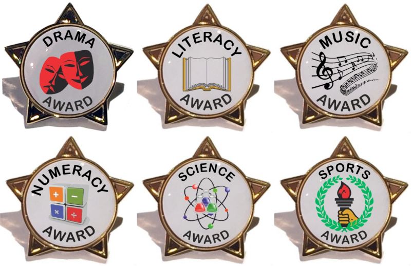 SCIENCE AWARD star badge